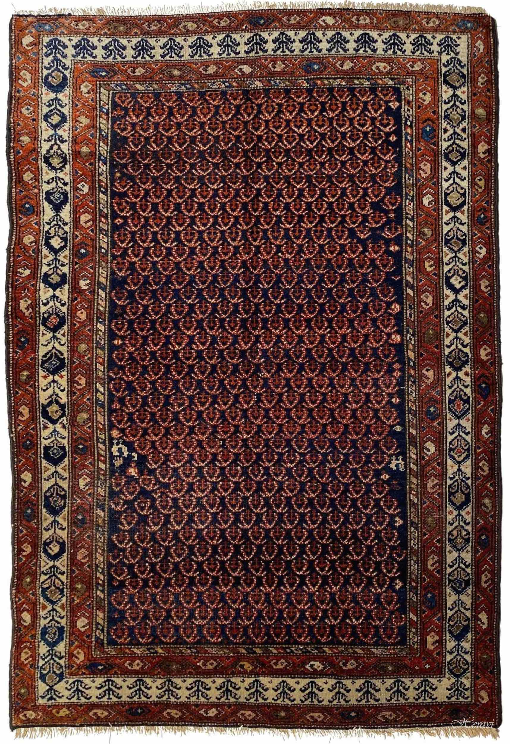 MALAYER ANTICO 172X124