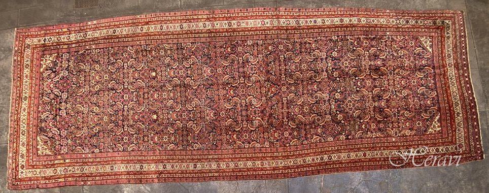 MALAYER ANTICO 656X 240