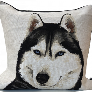 ANIMALI DELL'ALASKA
